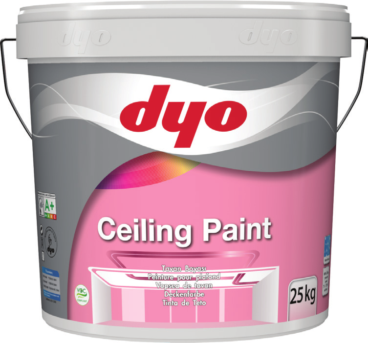 Ceiling Paint